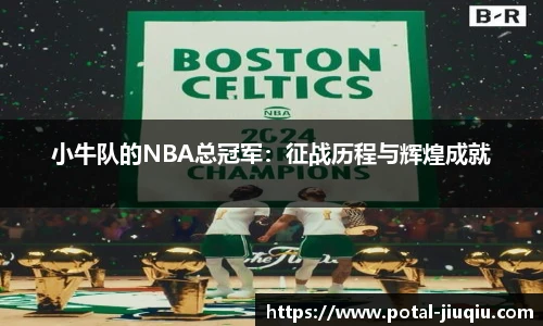 小牛队的NBA总冠军：征战历程与辉煌成就