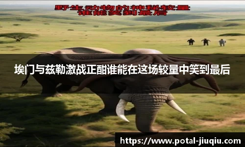 九球体育